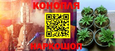 МДПВ Славгород