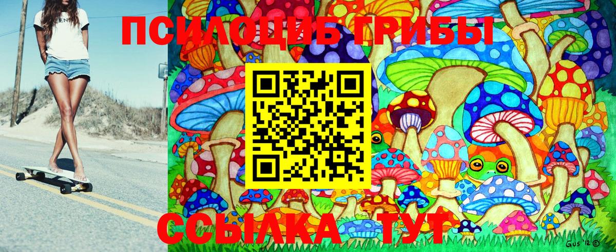 Галлюциногенные грибы Psilocybe  Вход с VPN  Нововоронеж 